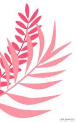 春节到了，需要给娃囤奶粉吗？1月1日临沂好孕来，特惠仅此一天