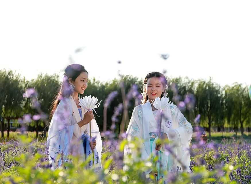 清明假期龙园第二届花朝节浓情绽放！