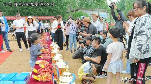 平邑助农新创意：网络达人乐游果园，网络直播销售大樱桃